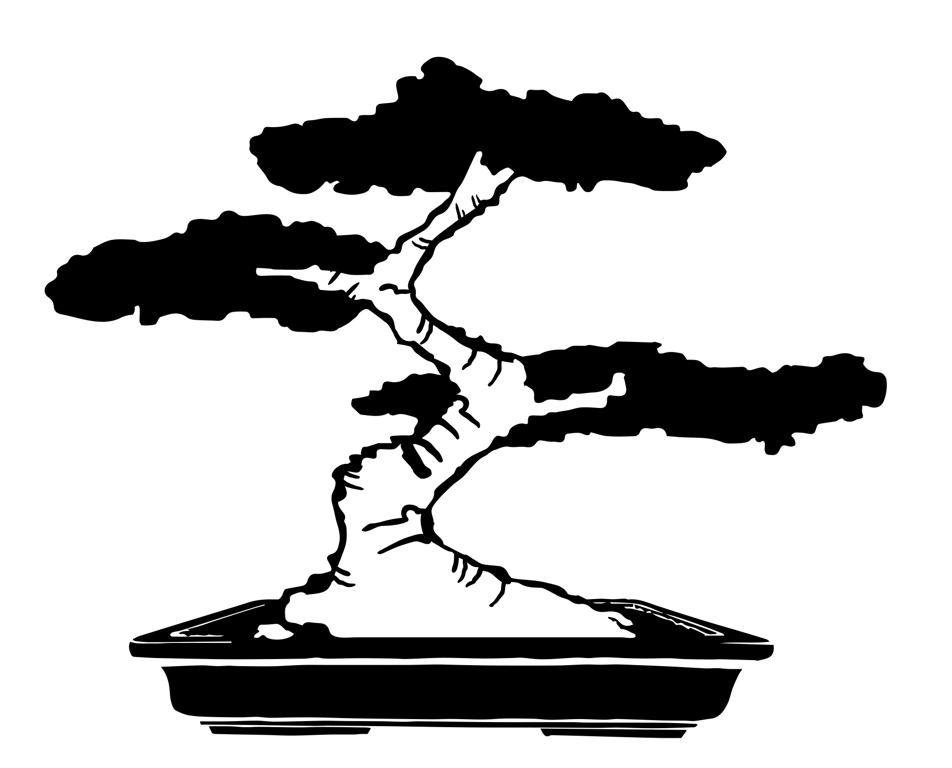 Berkshire Bonsai | Logo