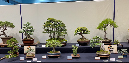 display