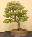 CIMG_5804