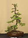 CIMG_5806