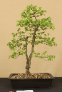 CIMG_5807