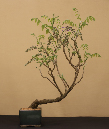 CIMG_5808