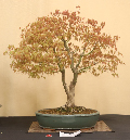 CIMG_5809