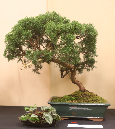 CIMG_5810