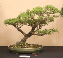 CIMG_5811