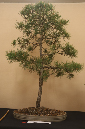 CIMG_5812