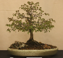 CIMG_5813