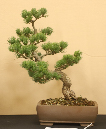 CIMG_5814