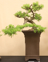 CIMG_5815