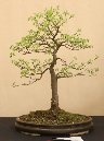 CIMG_5816