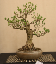 CIMG_5817