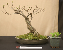 CIMG_5818