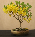 CIMG_5819