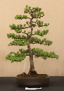 CIMG_5821