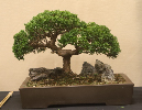 CIMG_5823