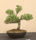CIMG_5824