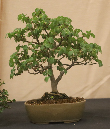 CIMG_5827