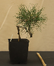 CIMG_5830
