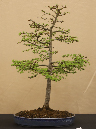 CIMG_5831