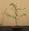 CIMG_5833