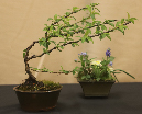 CIMG_5834