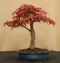 CIMG_5835