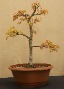 CIMG_5836