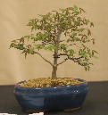CIMG_5838