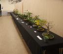 CIMG_5839
