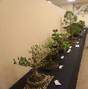 CIMG_5840